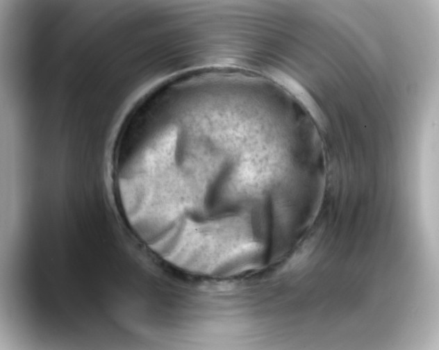 X0000088451051200706051302