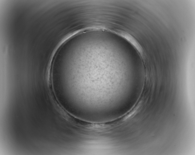 X0000088451052200706051302