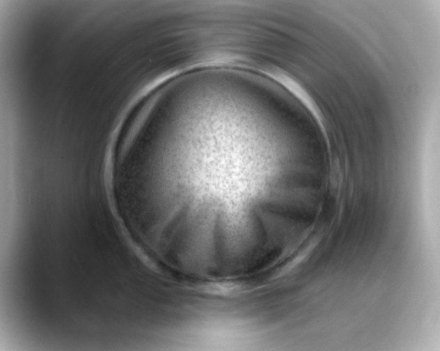 X0000088451053200706051303