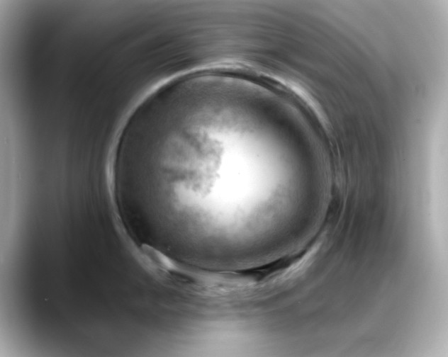 X0000088451054200706051303