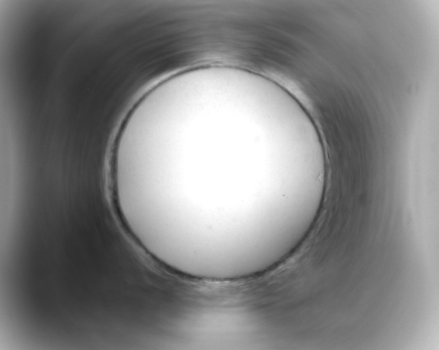 X0000088451056200706051303