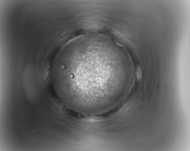 X0000088451059200706051302