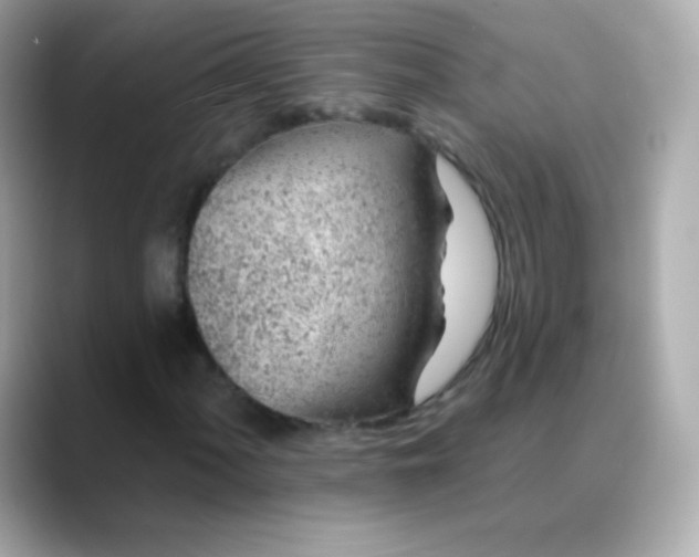 X0000088451060200706051302
