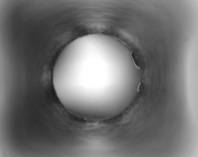 X0000088451061200706051302