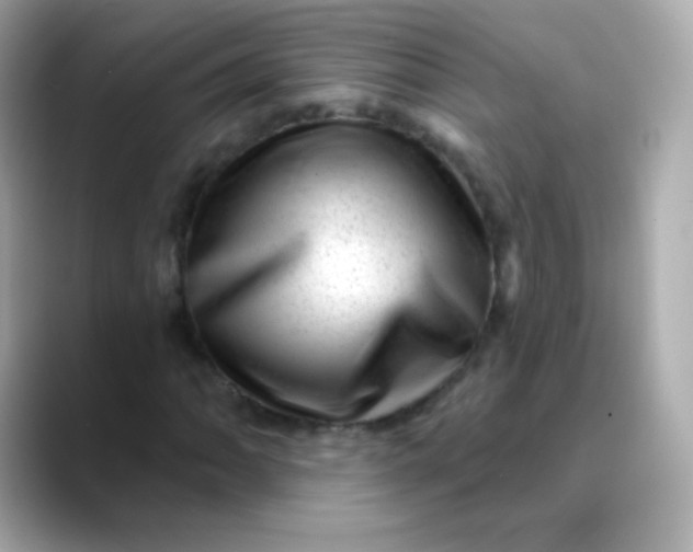 X0000088451062200706051302
