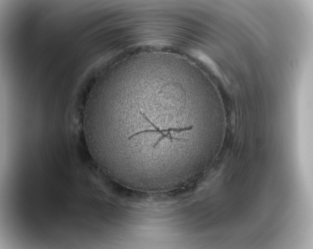X0000088451064200706051302