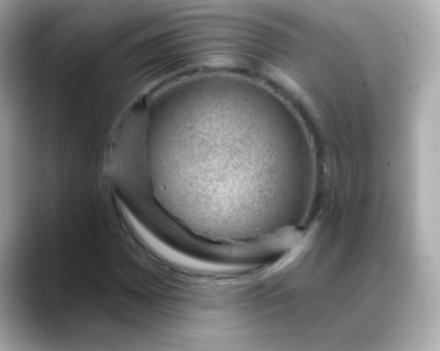 X0000088451065200706051302