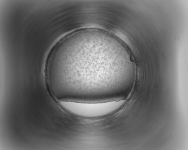 X0000088451068200706051302