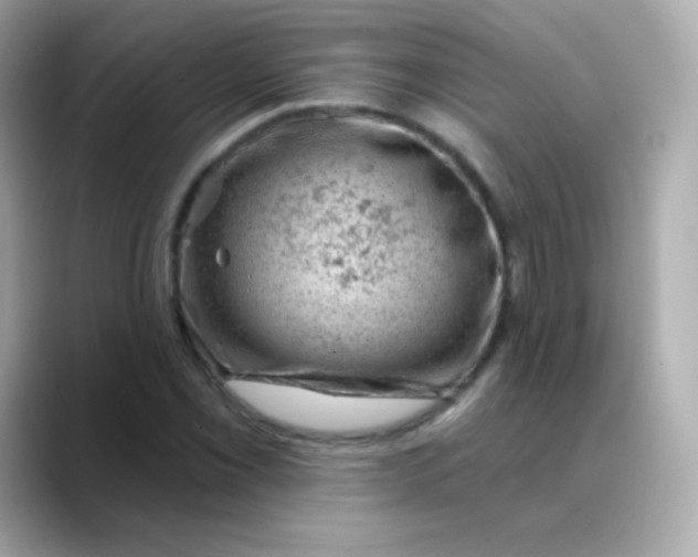 X0000088451069200706051302