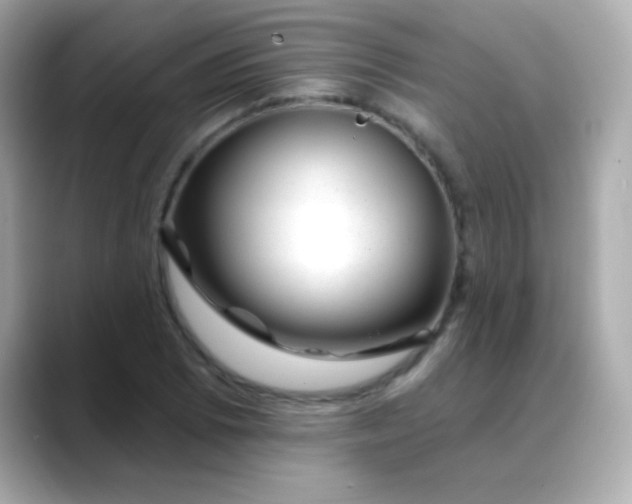 X0000088451073200706051302
