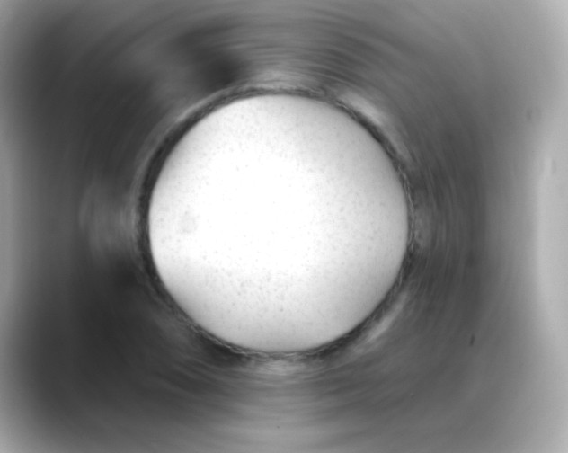 X0000088451074200706051302