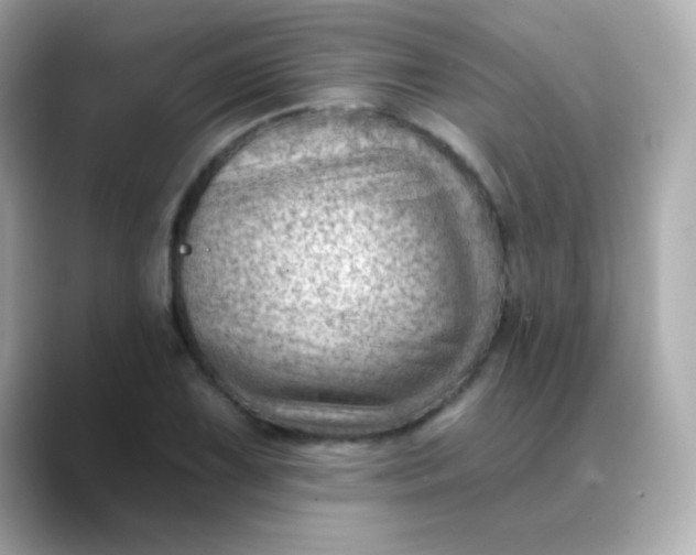 X0000088451075200706051302