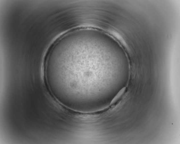 X0000088451076200706051302