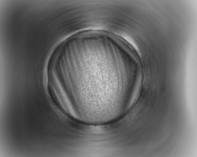 X0000088451080200706051302