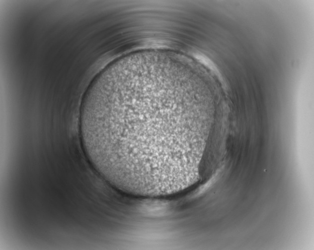 X0000088451081200706051302
