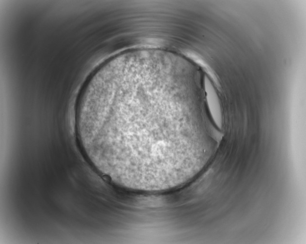 X0000088451083200706051302