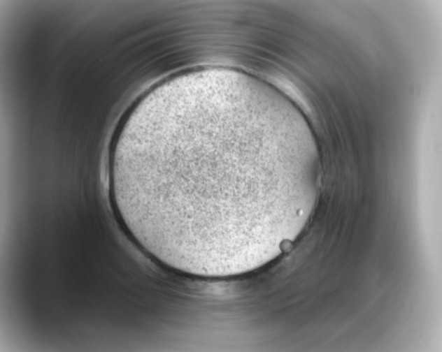 X0000088451084200706051302