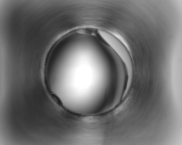 X0000088451093200706051302