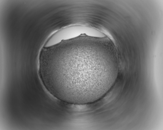 X0000088451095200706051302