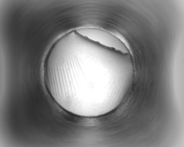 X0000088451096200706051302