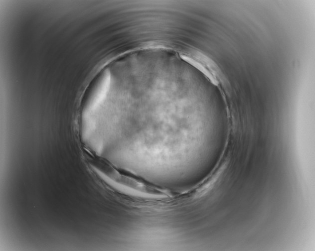 X0000088451097200706051302
