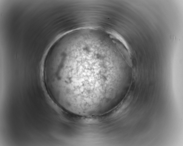 X0000088451099200706051301