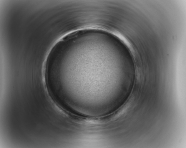 X0000088451102200706051301