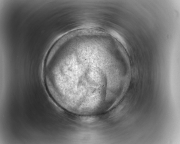 X0000088451103200706051301