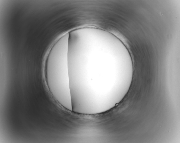 X0000088451104200706051301