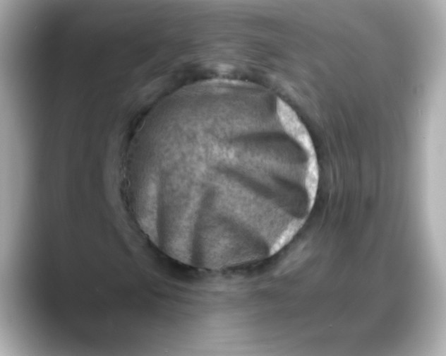 X0000088451105200706051301