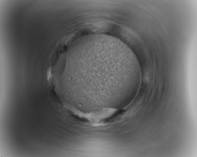 X0000088451108200706051301