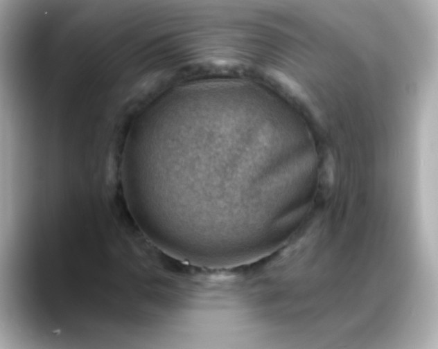 X0000088451110200706051301