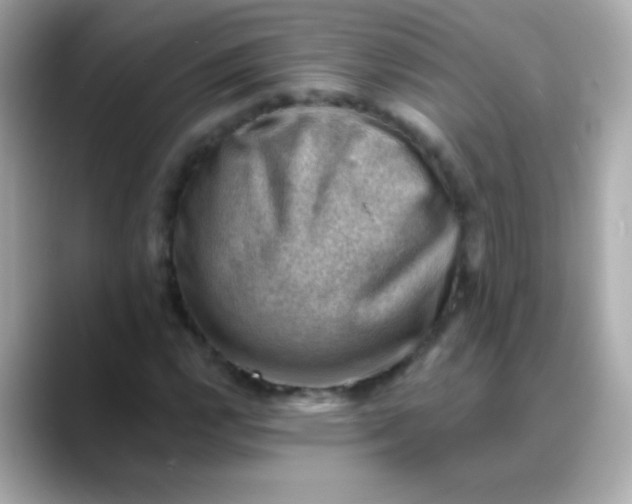 X0000088451112200706051301