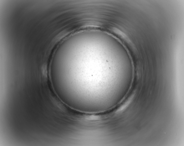 X0000088451113200706051301