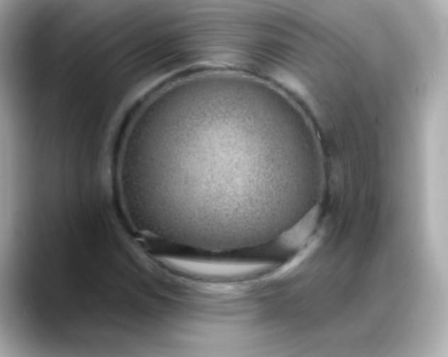 X0000088451114200706051301