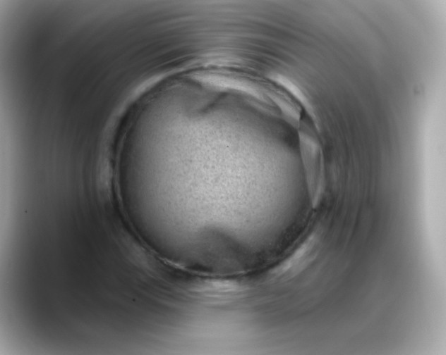 X0000088451115200706051301