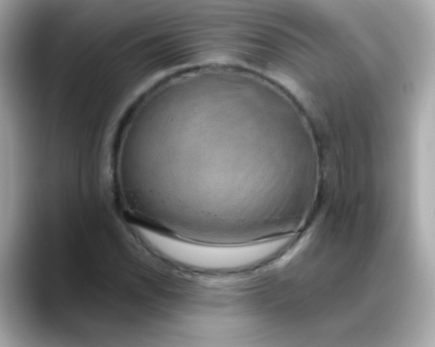 X0000088451118200706051301