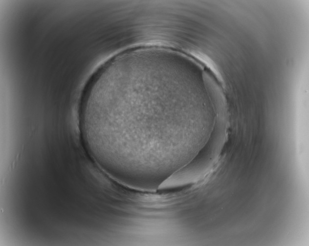 X0000088451120200706051301