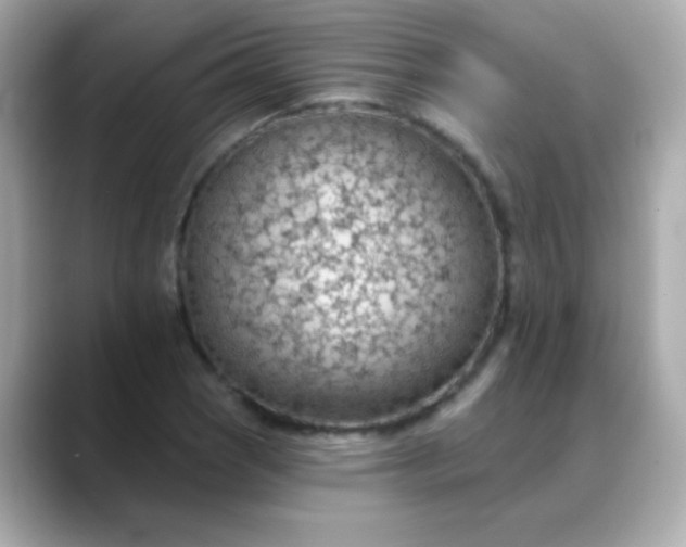 X0000088451121200706051301
