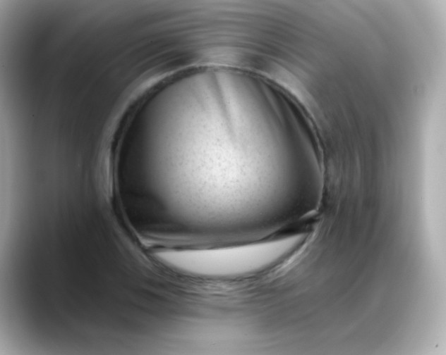 X0000088451123200706051301