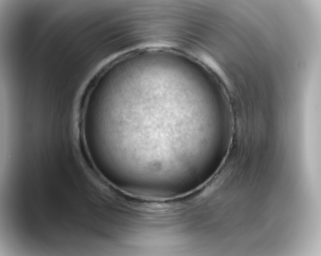 X0000088451124200706051301