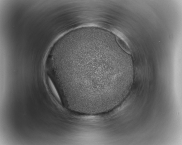 X0000088451127200706051301