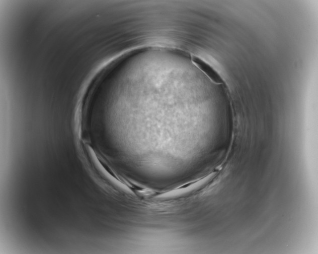X0000088451128200706051301