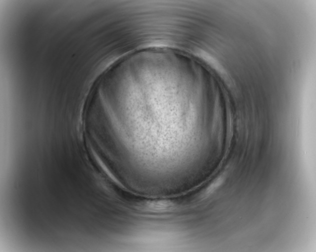 X0000088451129200706051301