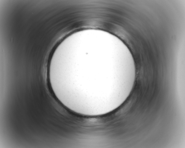X0000088451130200706051301