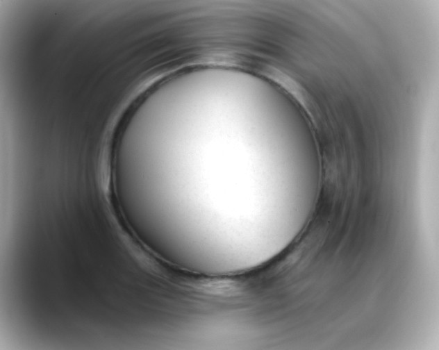 X0000088451131200706051301