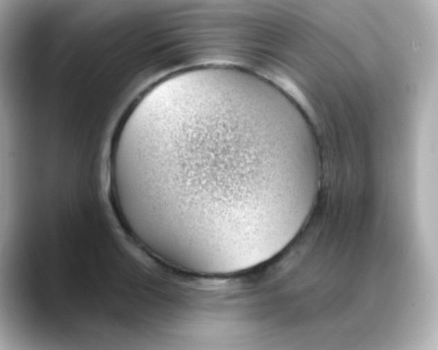 X0000088451132200706051301