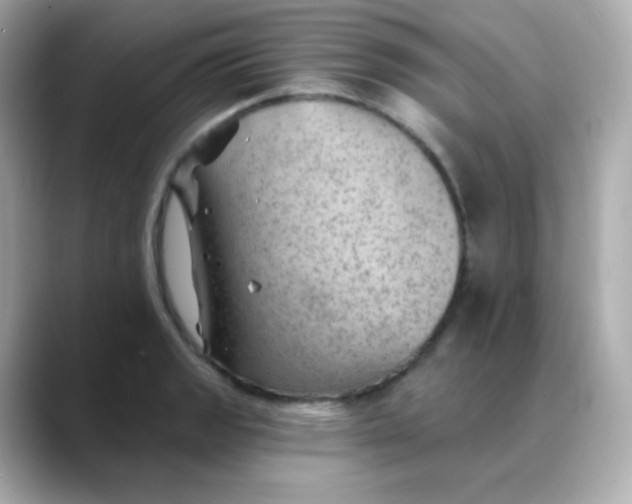 X0000088451133200706051301