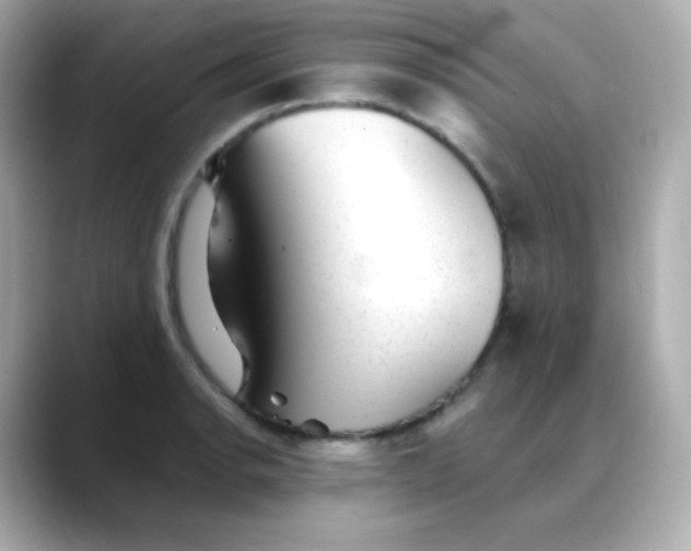 X0000088451134200706051301