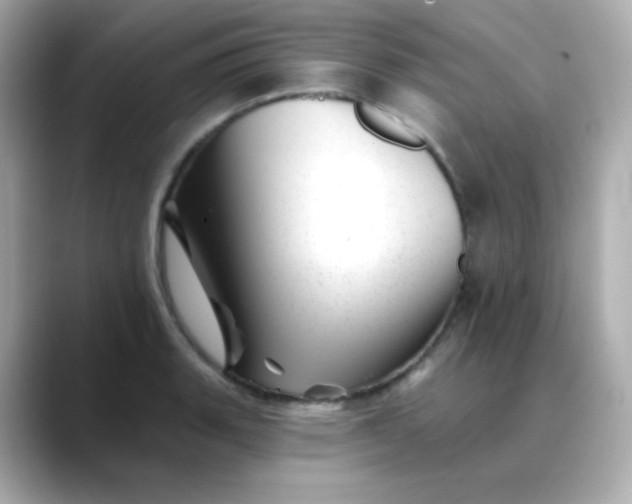 X0000088451135200706051301